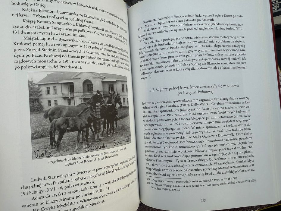 Hodowla koni i sport jezdziecki w galicji pod zaborem austriackim