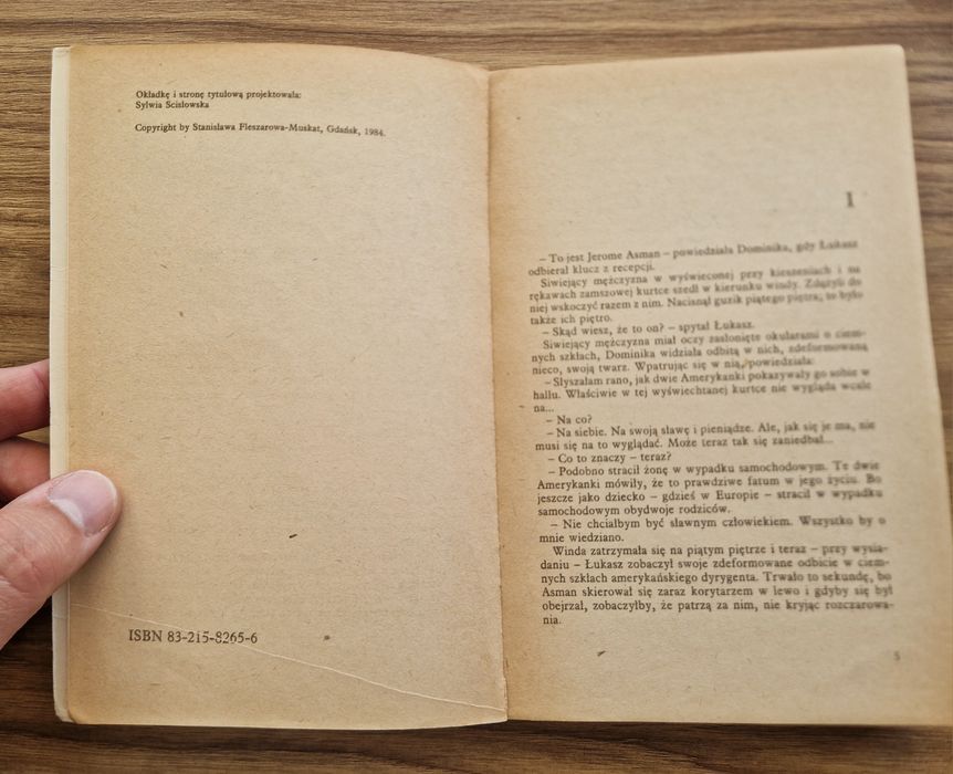 Most nad rwącą rzeką - Stanisława Fleszarowa-Muskat