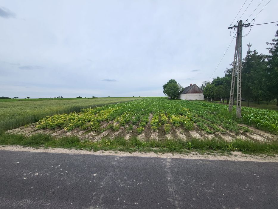 Sprzedam działkę nr 59/3 Kosewo gm. Ostrowite obok j. Powidzkie