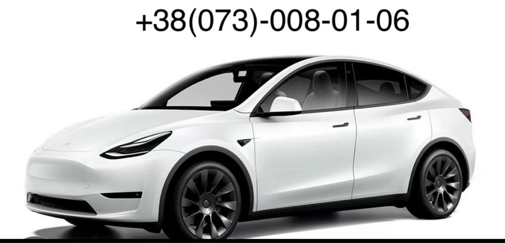Tesla Model Y  Разборка коылья двери капоты четвертя
