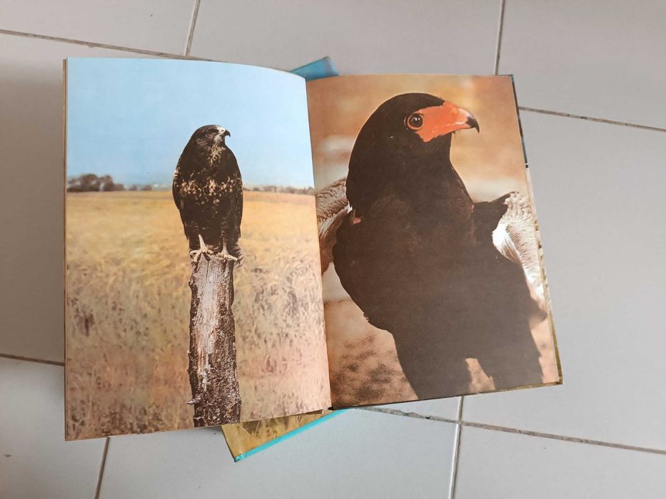 Livros O Mundo Maravilhoso dos Animais