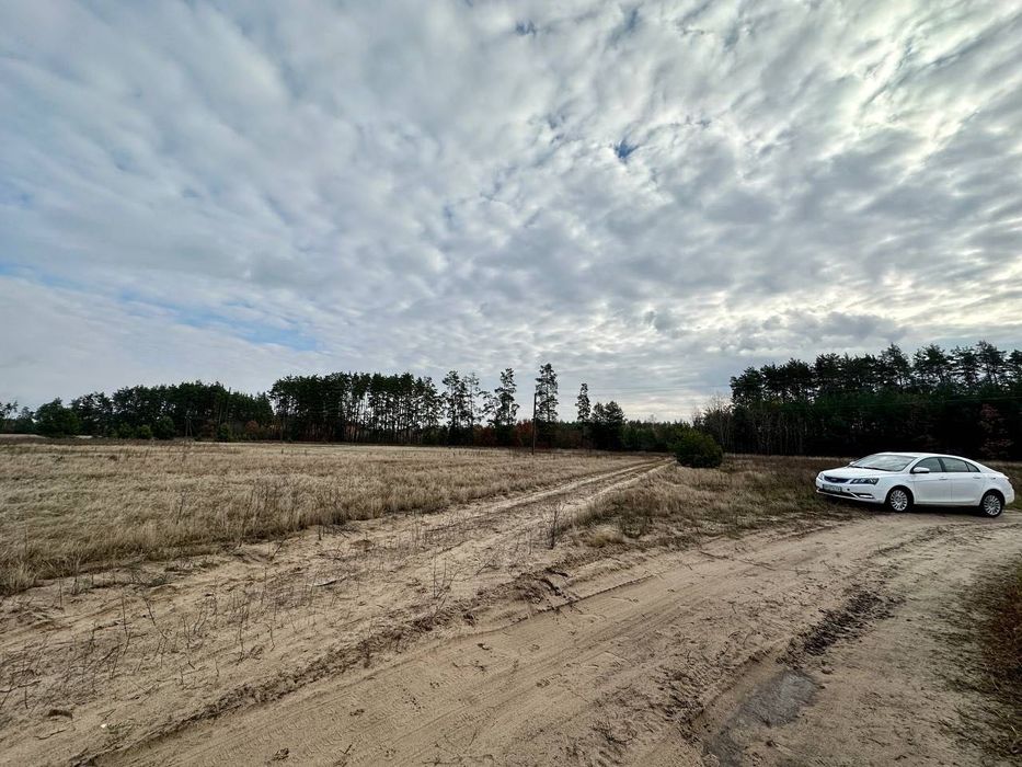 КУТОВА Ділянка 15 сотів біля ЛІСУ. Село Дмитрівка. БЕЗ КОМІСІЇ.