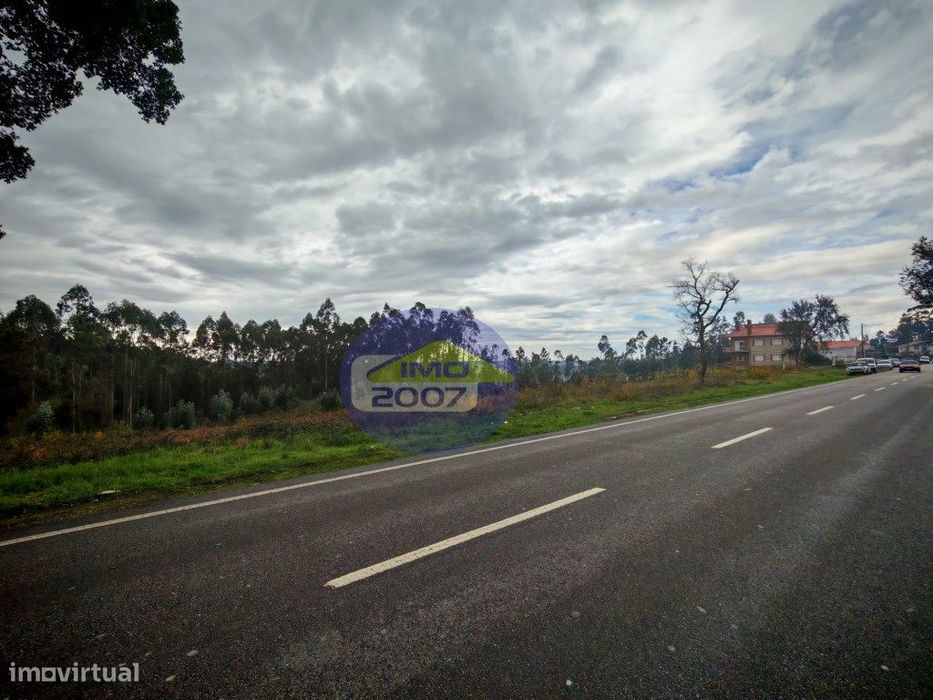 Terreno com viabilidade construção em altura