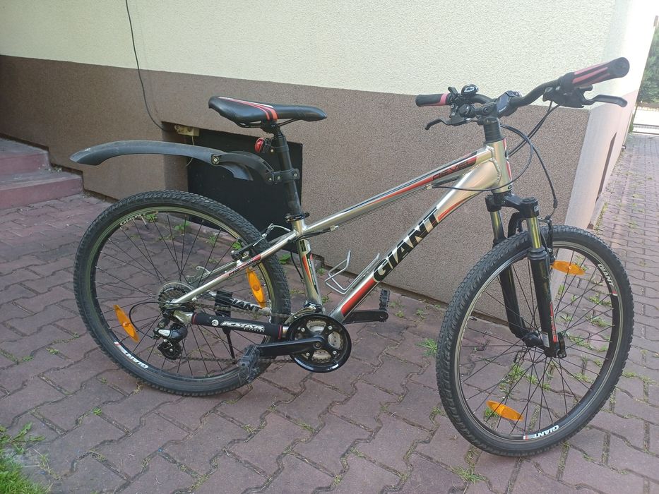 Rower Giant revel xs