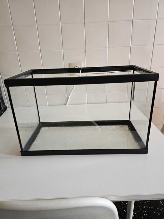 Aquário 38L (negociável)