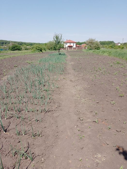 Продам земельну ділянку