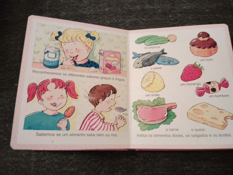 Livros Dicionário Por Imagens dos Pequeninos Usados