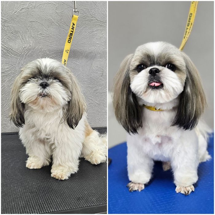 Модели на груминг