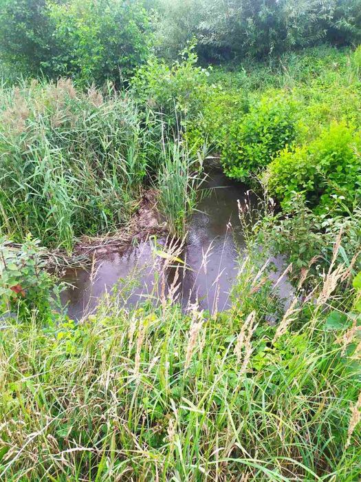 Земельна ділянка зі старим будинком без перебоїв в електропостачанні