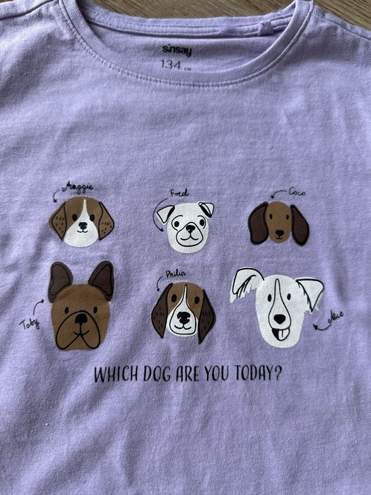 Zestaw set 2szt Sinsay 134 Little Kids bluzeczka longsleeve koszulka