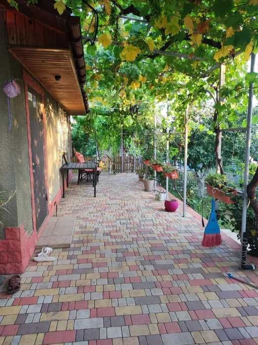 (13) Продам будинок. с.Барабой.