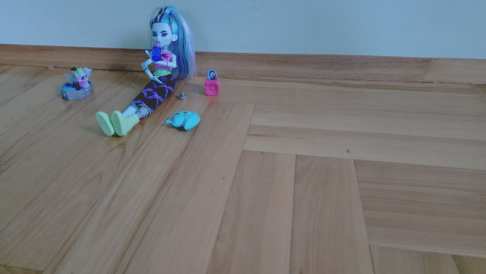 Lalka monster High Franke Stein