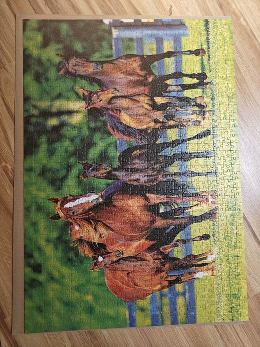 Puzzle 1000 elementów