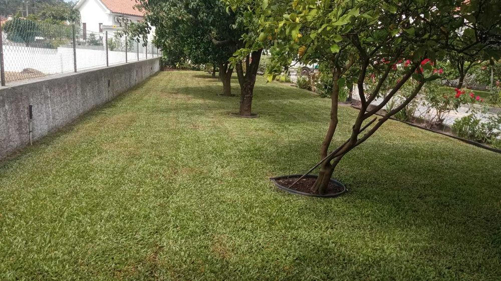 Serviço de jardinagem