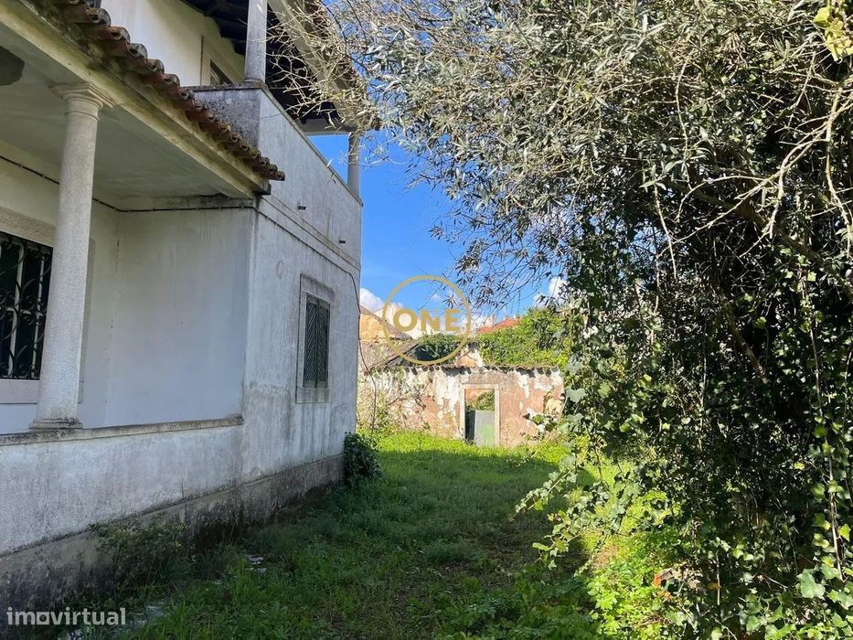 Quinta/Herdado | 3800m2 | centro Torres Novas