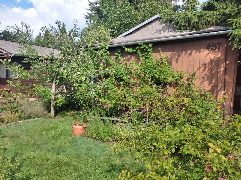 Działka ROD Białołęka