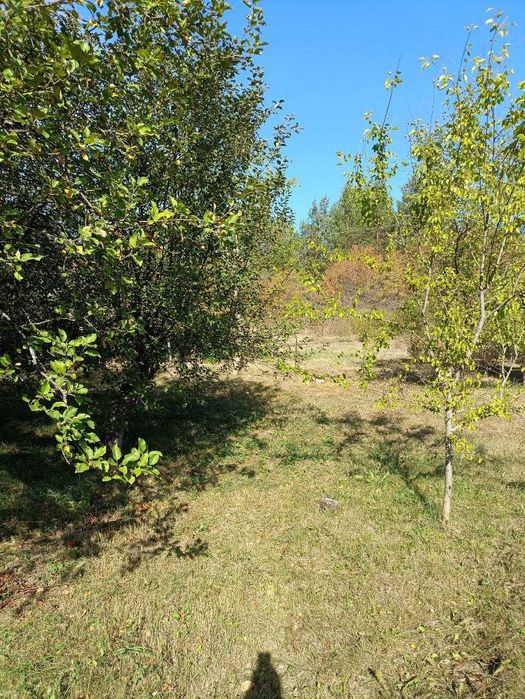 Продам дачу  село Черемушное