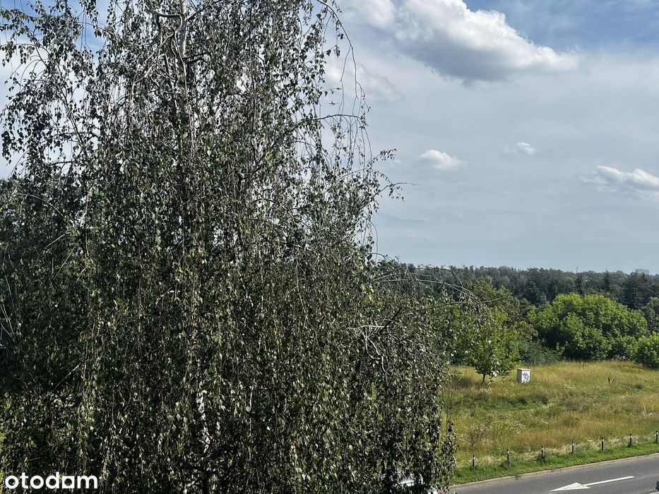 Zdjęcie 8