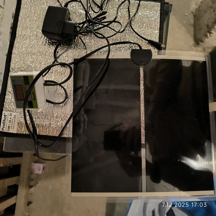 Terrarium z akcesoriami