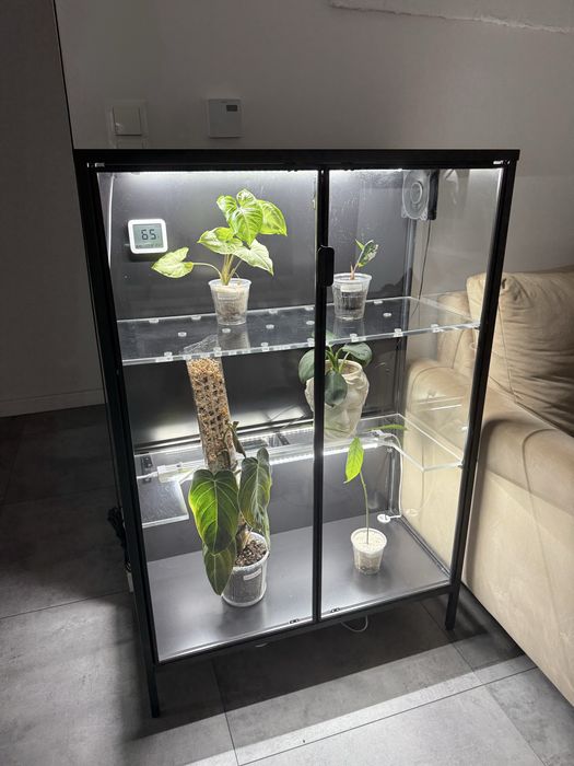 witryna gablotka na rośliny ikea rudsta