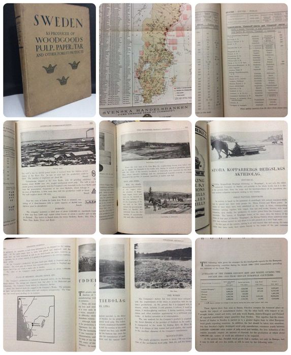Sweden as producer of wood goods, pulp, paper...1920. Com 1 mapa
