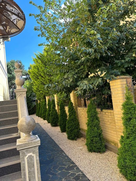 Продам дом ( будинок) в элитном поселке Сосновый Берег