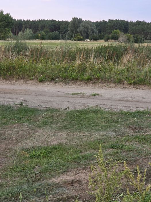 Sprzedam działkę z Warunkami Zabudow Koszęcinie gmina Deszczno y! - Widok 2