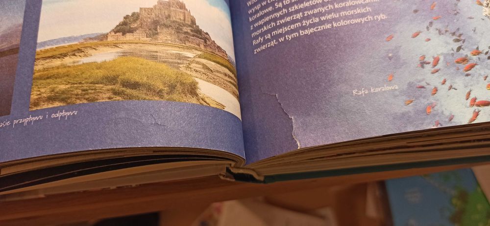 Encyklopedia dla dzieci.