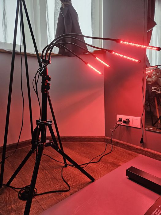 Lampa do wzrostu roślin