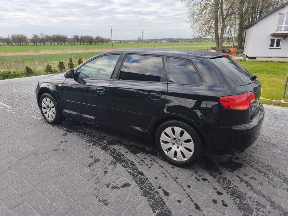 Audi A3 8P 2.0Tdi