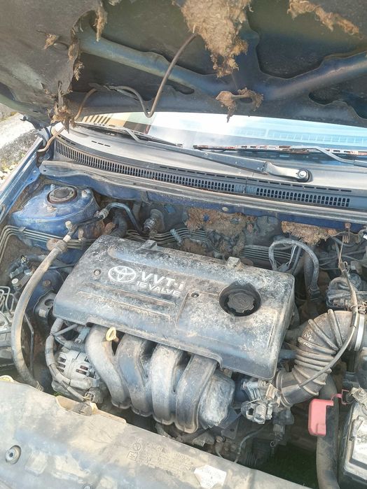 Toyota Corolla 1.4 benzyna tanio!