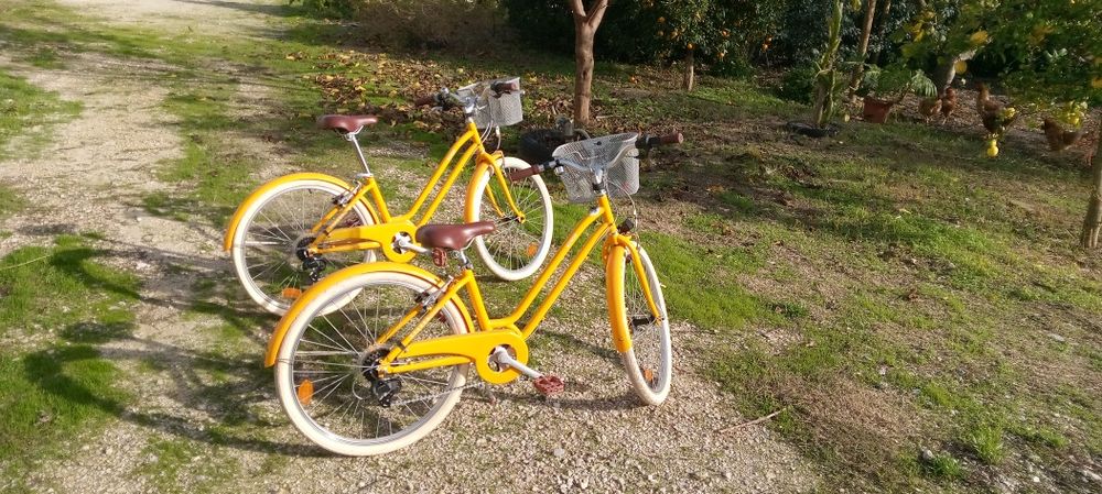 Duas bicicletas em ótimo estado