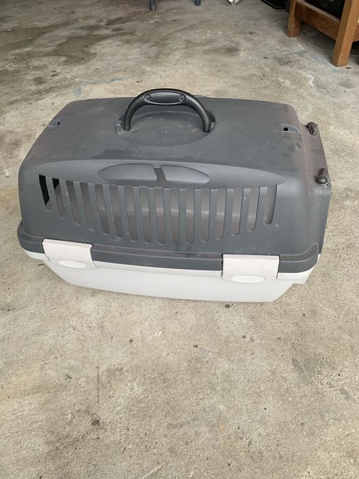 Transportadora de animais