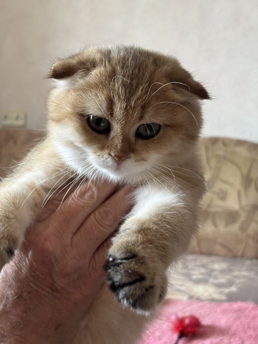 Потішний хлопчик