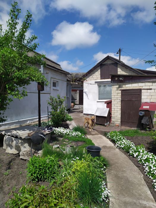 Продам будинок в с.Безруки р.Дергачи