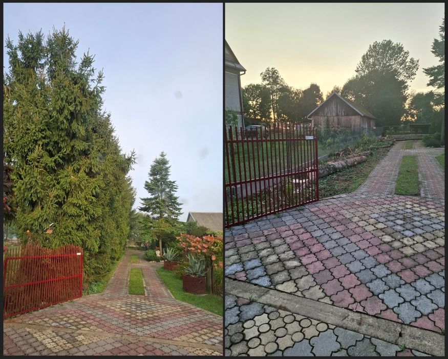 Wycinka drzew, Malowanie dachów, Mycie kostki brukowej