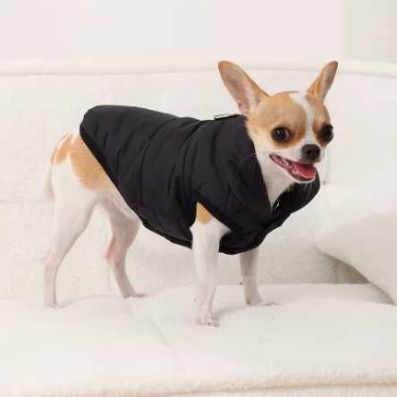 Casaco roupa para cão raça pequena Pinscher chihuahua - Novo