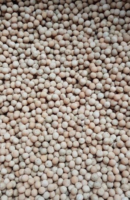 Sprzedam groch  Batuta