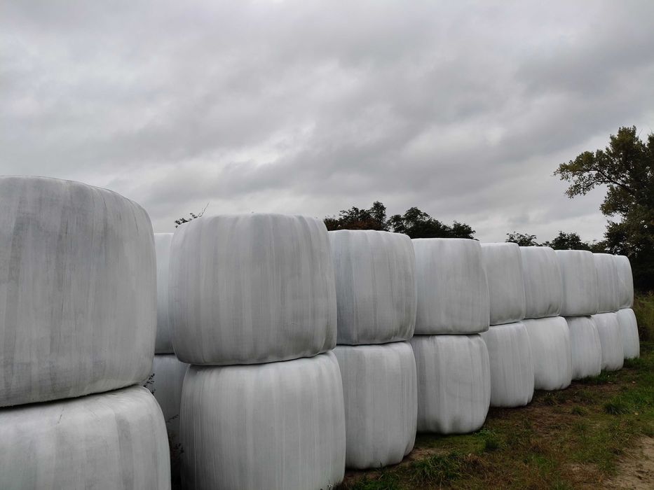 Sianokiszonka pierwszy pokos bale 130x120 150szt.