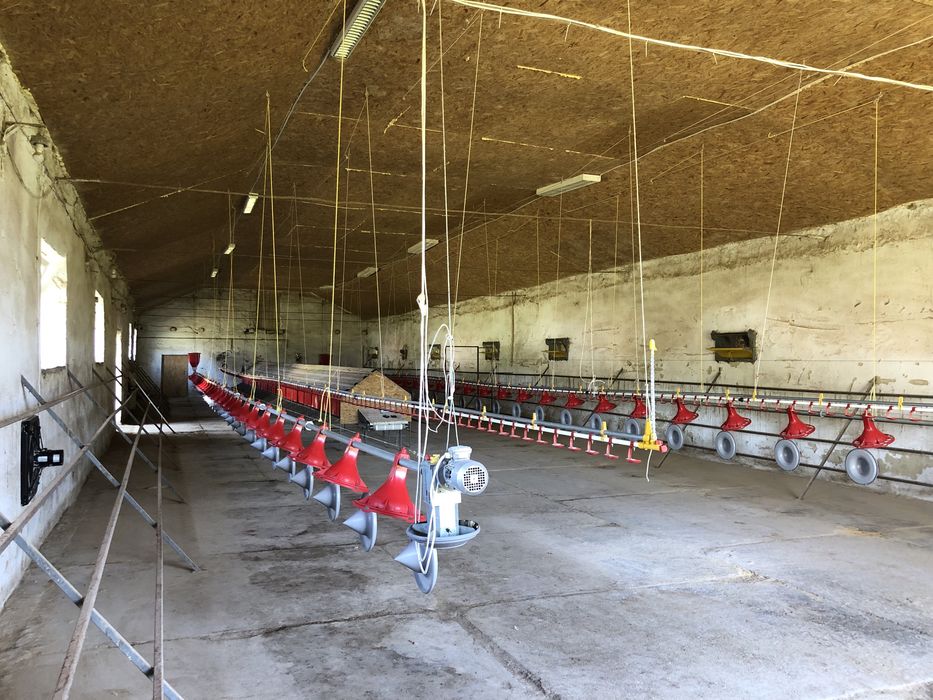 Продається агрокомплекс з птахофермою.