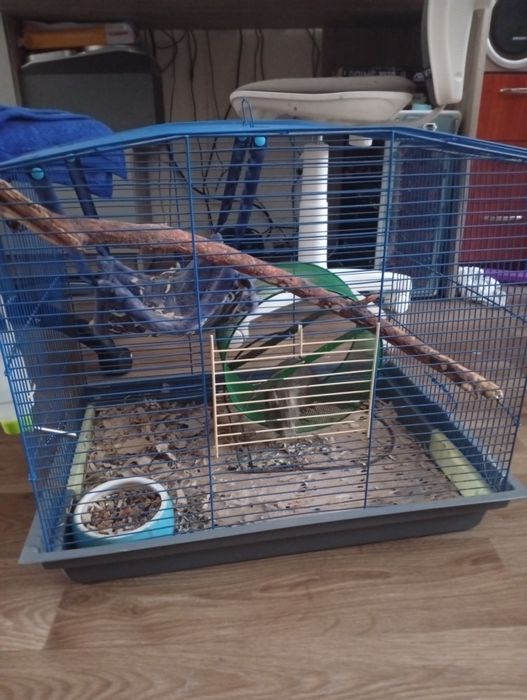 Продам,подарую все на фото.