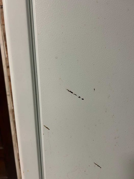 Frigorífico a funcionar na perfeição