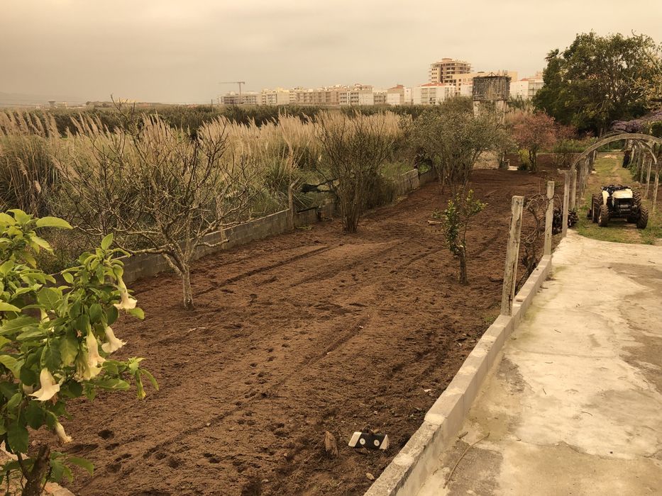 Servicos florestais