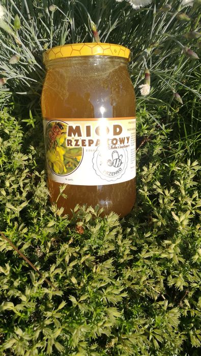 Miód wielokwiatowy , rzepakowy z własnej pasieki