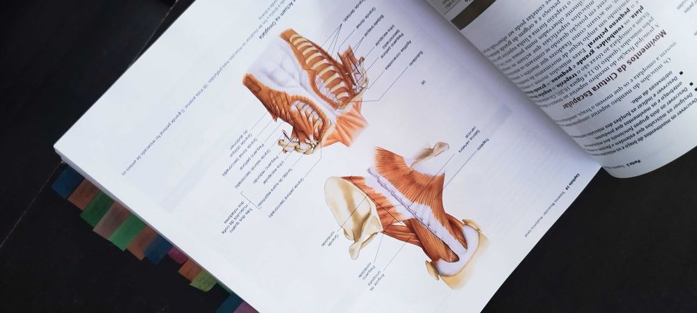 Livro Anatomia & Fisiologia.