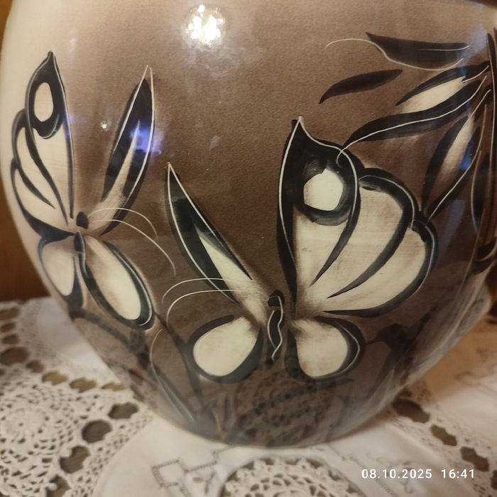 Большая аглаонем ,куст .