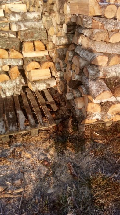 Drewno kominkowe/opałowe