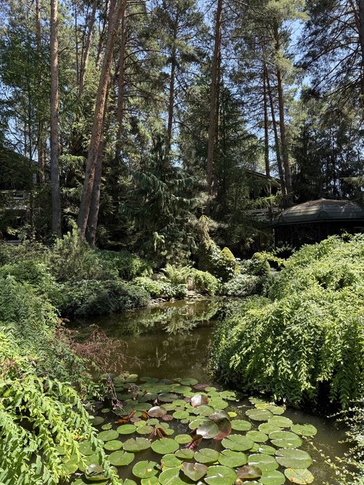 Дом 300 кв.м, Романков, Закрытый КГ, Бассейн