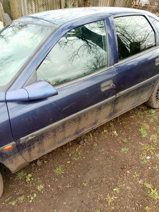 OPEl vecta b...    ...