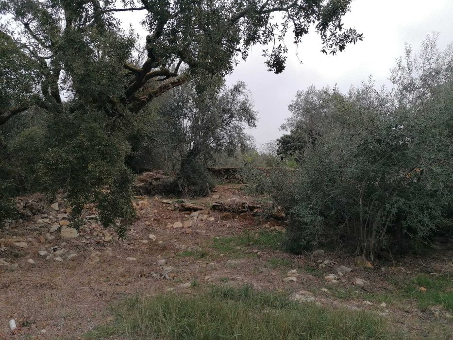 Vende-se "Excelente terreno urbano no núcleo histórico de Relvas, Pussos São Pedro (Alvaiázere)